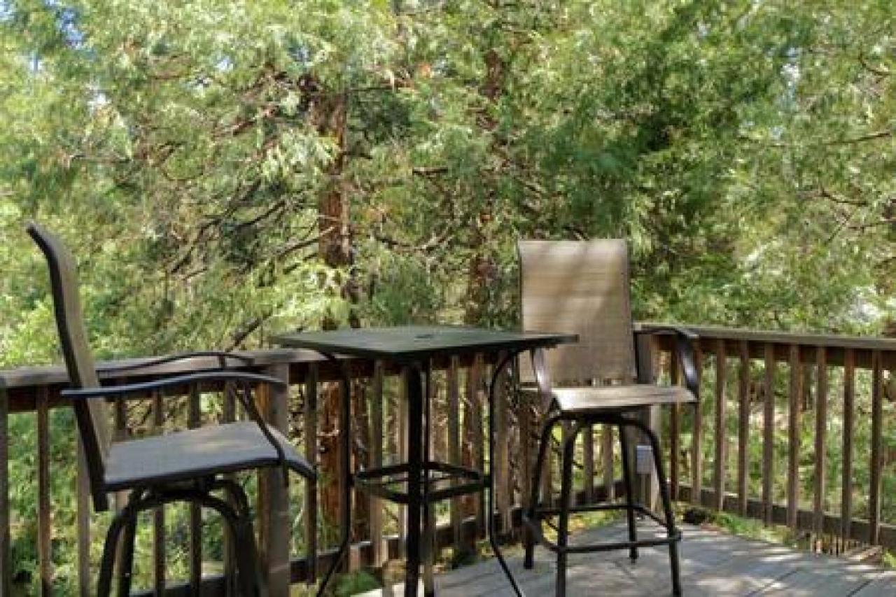 Eagles Nest - Natural Log Cabin With Guest House Idyllwild Kültér fotó