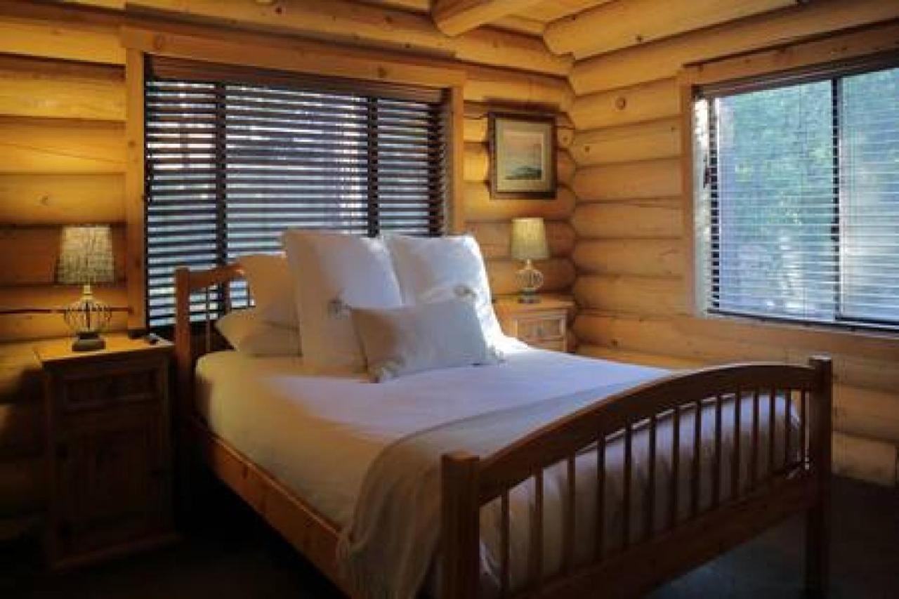 Eagles Nest - Natural Log Cabin With Guest House Idyllwild Kültér fotó