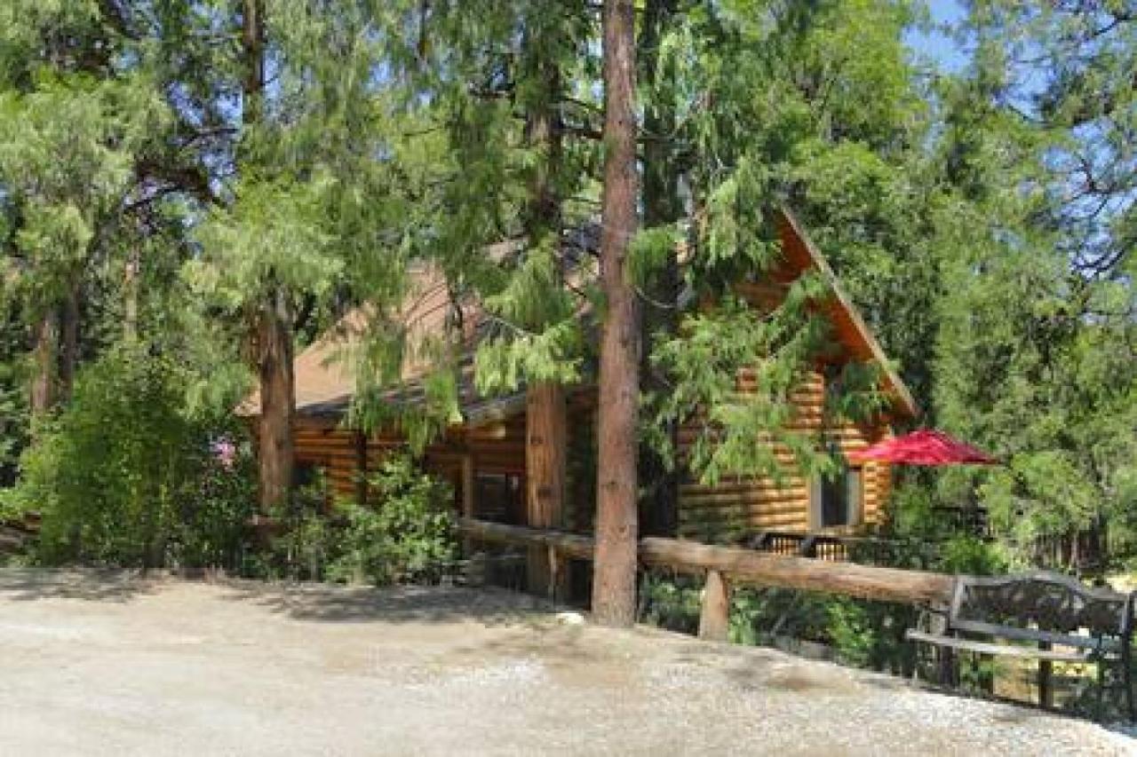 Eagles Nest - Natural Log Cabin With Guest House Idyllwild Kültér fotó