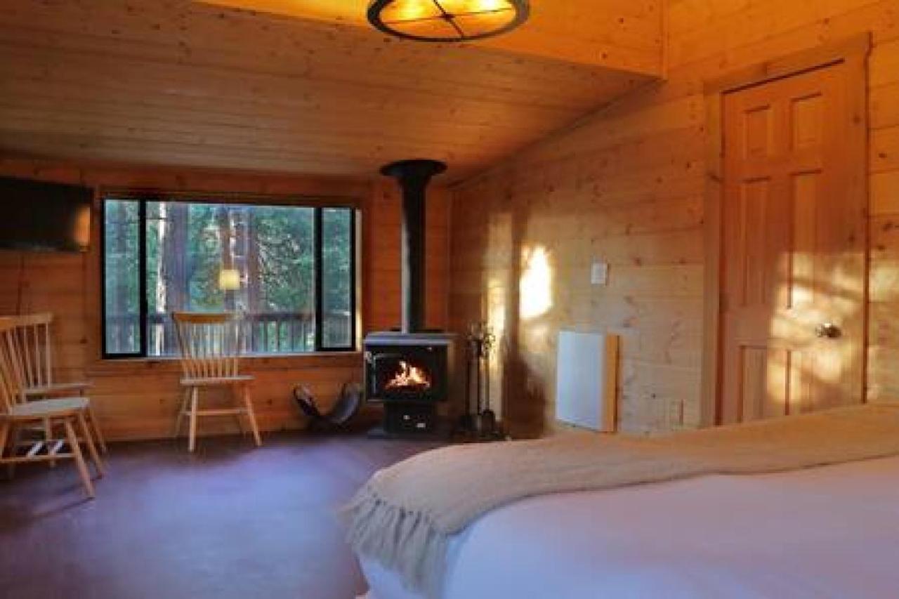 Eagles Nest - Natural Log Cabin With Guest House Idyllwild Kültér fotó